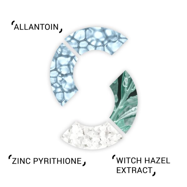 SYSTEM Purify Lotion - Image 3