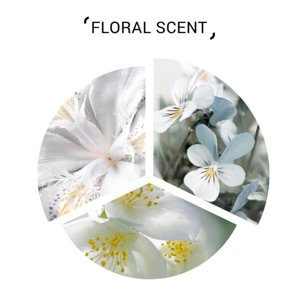 SYSTEM Balance Scalp Shampoo - Image 2