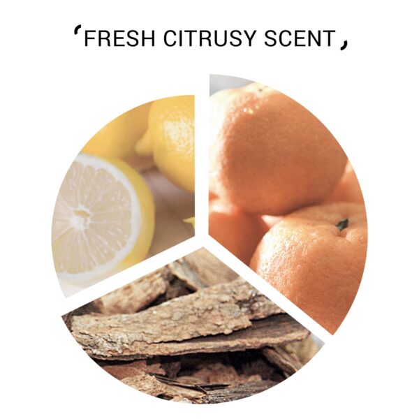 SYSTEM Hydrate Conditioner - Image 2
